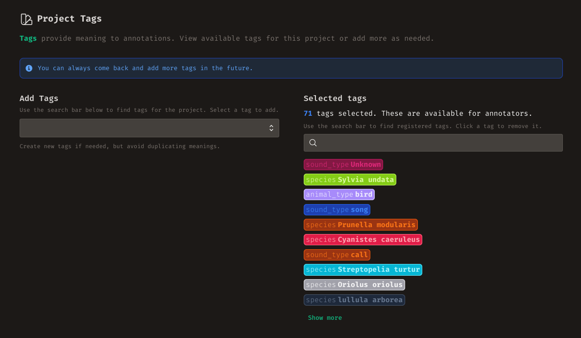 Annotation Project Tags